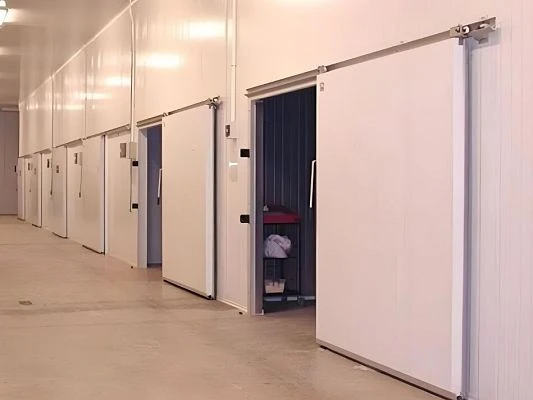 COLD STORAGE DOOR